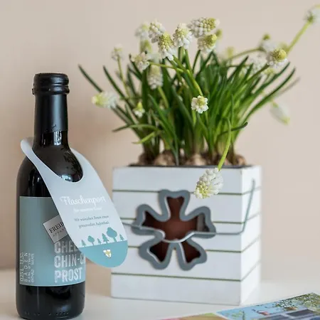 公寓 Boutique 科齐扎尔滕